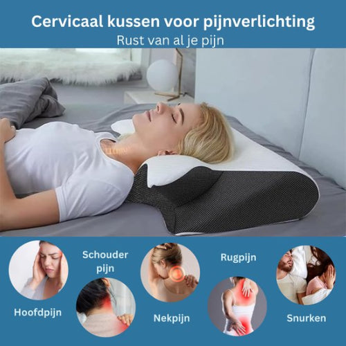 Ergonomisch kussen
